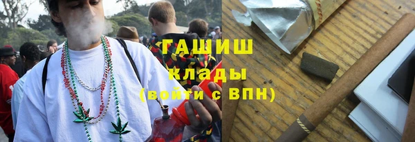 стаф Алзамай