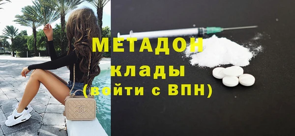 стаф Алзамай