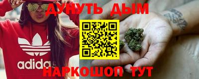 Альфа ПВП Нальчик