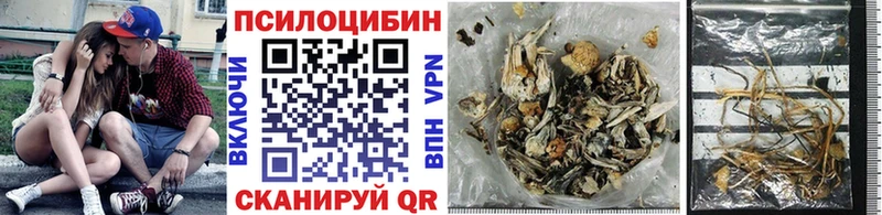 Псилоцибиновые грибы Cubensis  omg как зайти  Самара 
